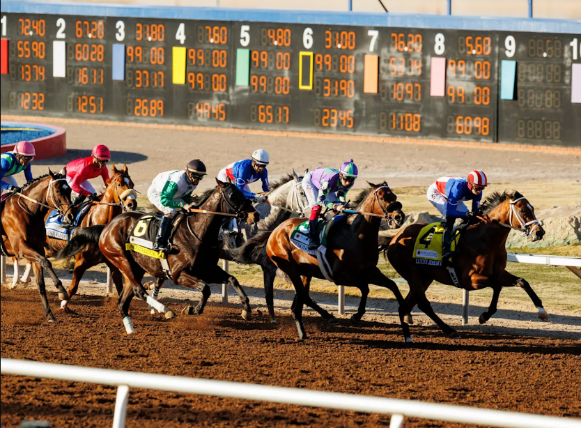 How Horse Racing Tracks Are Built: The Engineering Behind the Sport