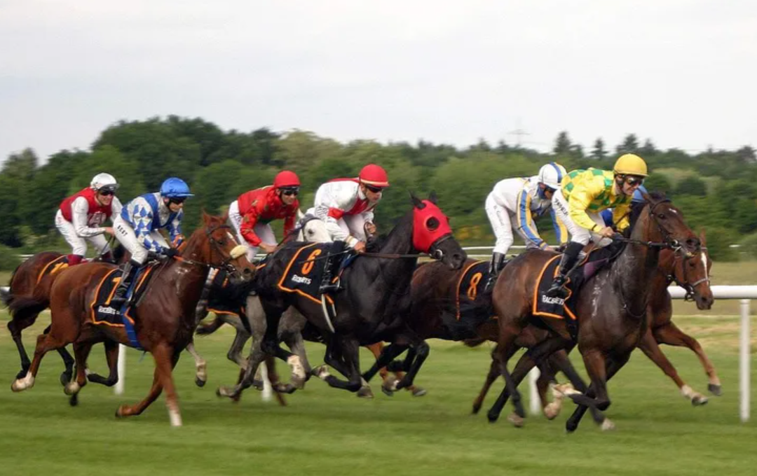 How to Bet on Horse Racing: Tips and Strategies for Beginners