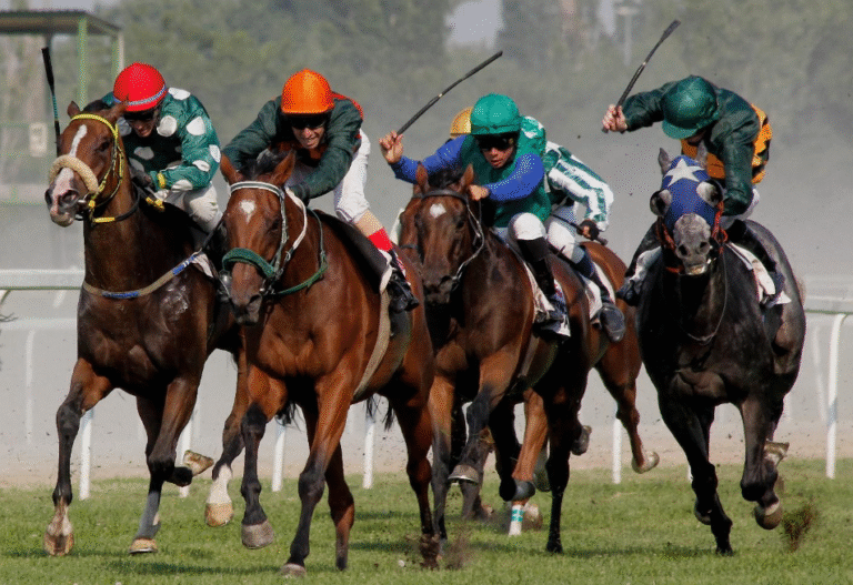 How to Care for a Racehorse: Training, Diet, and Health Tips