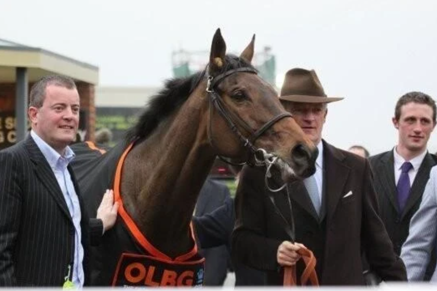 How to Read Horse Racing Form Guides Like a Pro